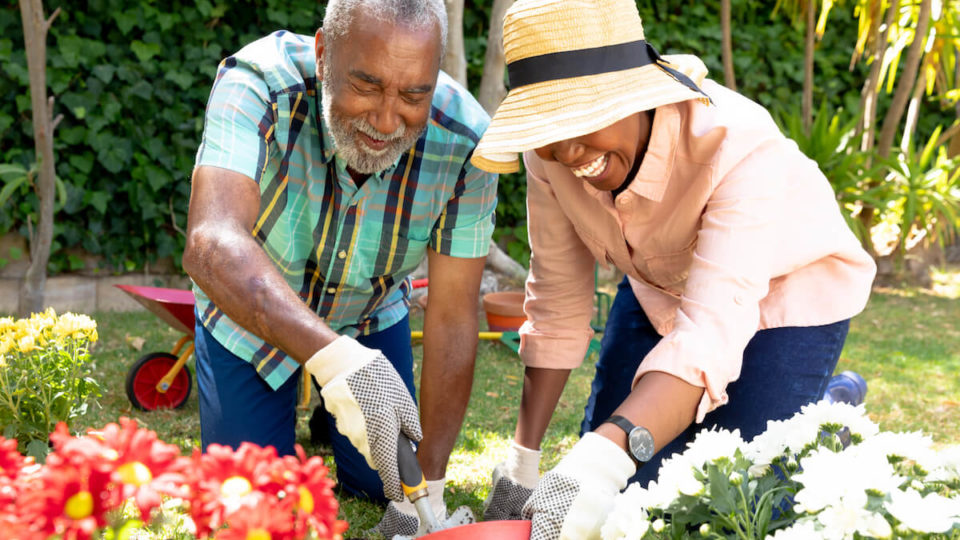 Senior African American couple spending time in their garden on a sunny day, planting flowers.