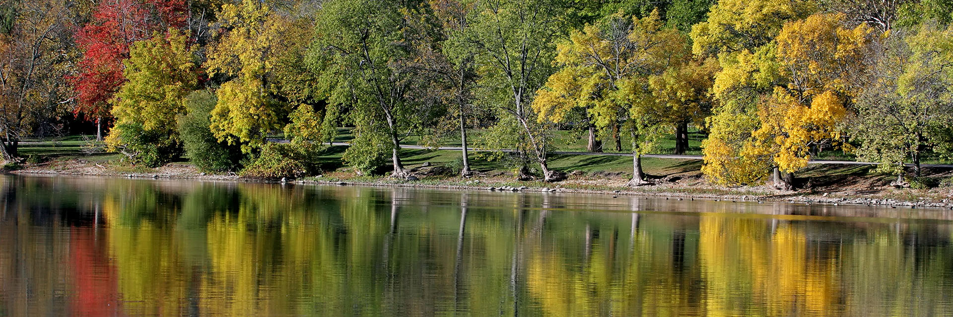 Lake with trees in fall